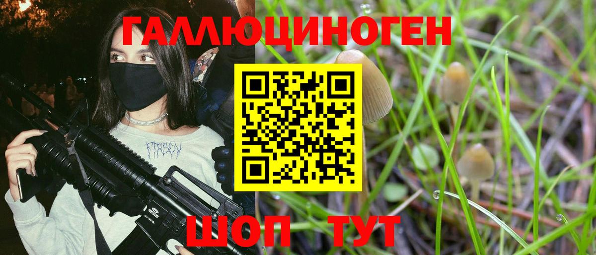 Псилоцибиновые грибы Psilocybe Сунжа