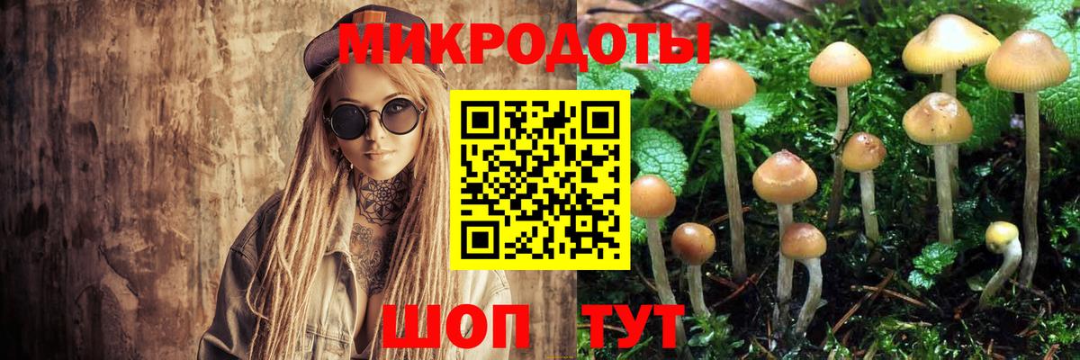 Галлюциногенные грибы Magic Shrooms  Галлюциногенные грибы мухоморы  Сунжа  Вход с VPN 